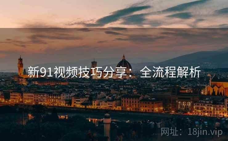 新91视频技巧分享：全流程解析