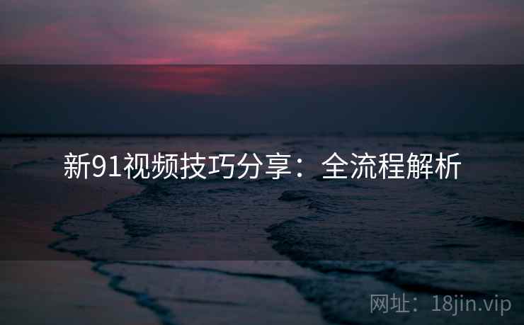 新91视频技巧分享：全流程解析