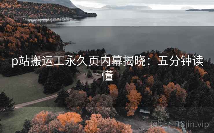 p站搬运工永久页内幕揭晓：五分钟读懂