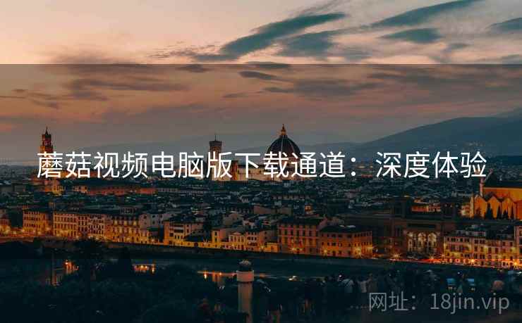 蘑菇视频电脑版下载通道：深度体验