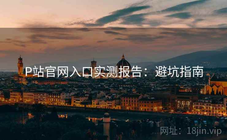 P站官网入口实测报告：避坑指南