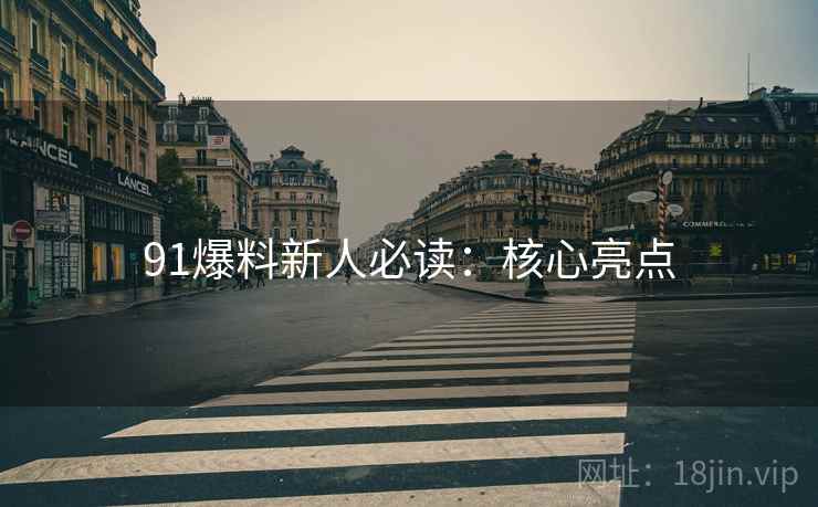 91爆料新人必读：核心亮点