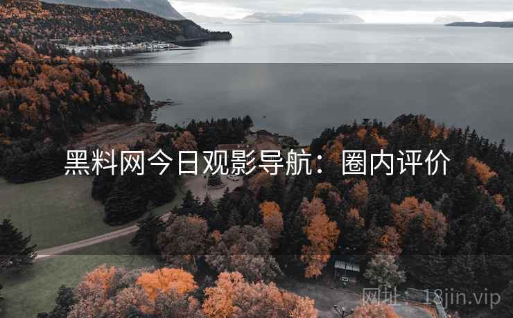 黑料网今日观影导航：圈内评价