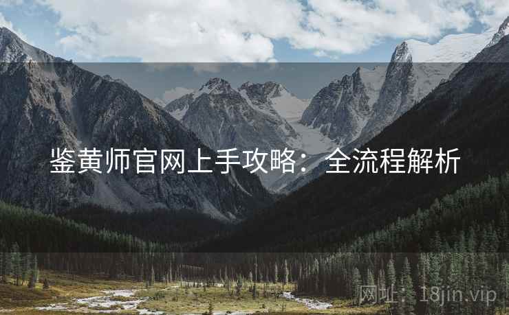 鉴黄师官网上手攻略：全流程解析