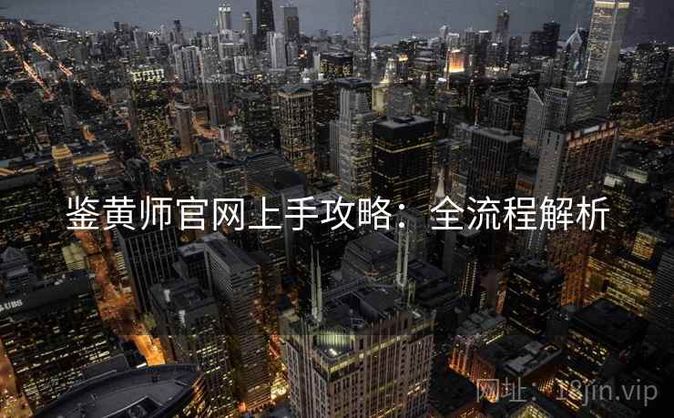 鉴黄师官网上手攻略：全流程解析