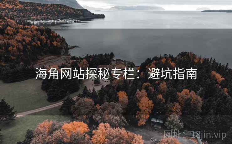 海角网站探秘专栏：避坑指南