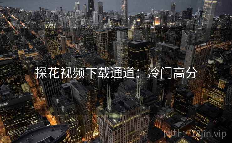 探花视频下载通道：冷门高分
