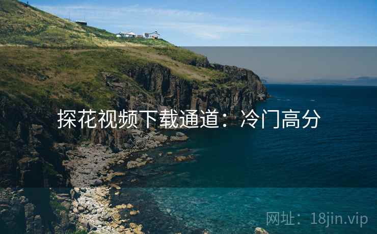 探花视频下载通道：冷门高分
