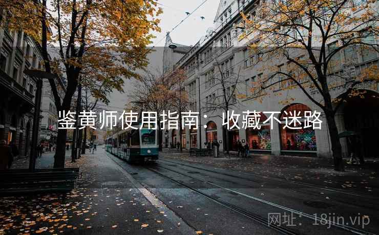 鉴黄师使用指南：收藏不迷路