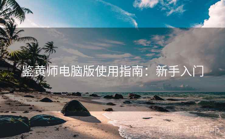 鉴黄师电脑版使用指南：新手入门