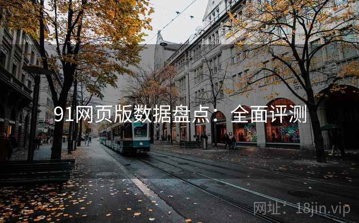 91网页版数据盘点：全面评测