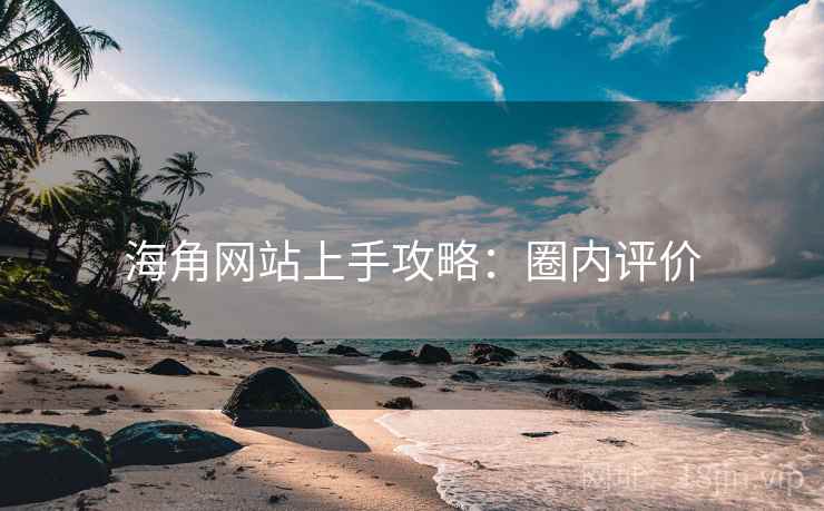 海角网站上手攻略：圈内评价
