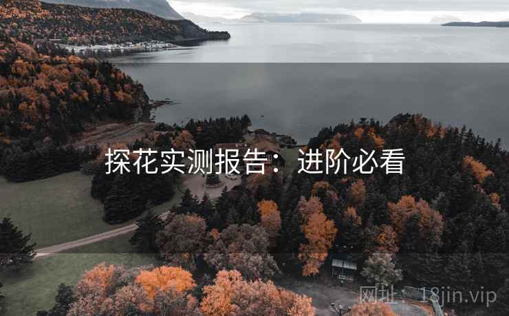 探花实测报告：进阶必看