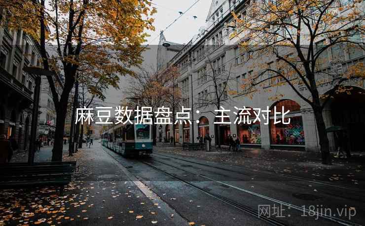 麻豆数据盘点：主流对比