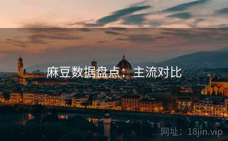 麻豆数据盘点：主流对比
