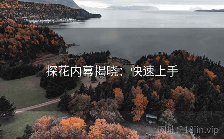 探花内幕揭晓：快速上手