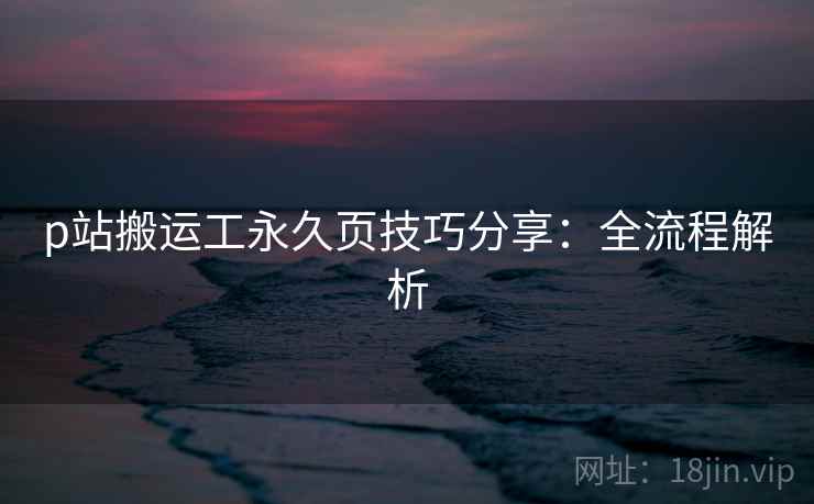 p站搬运工永久页技巧分享：全流程解析