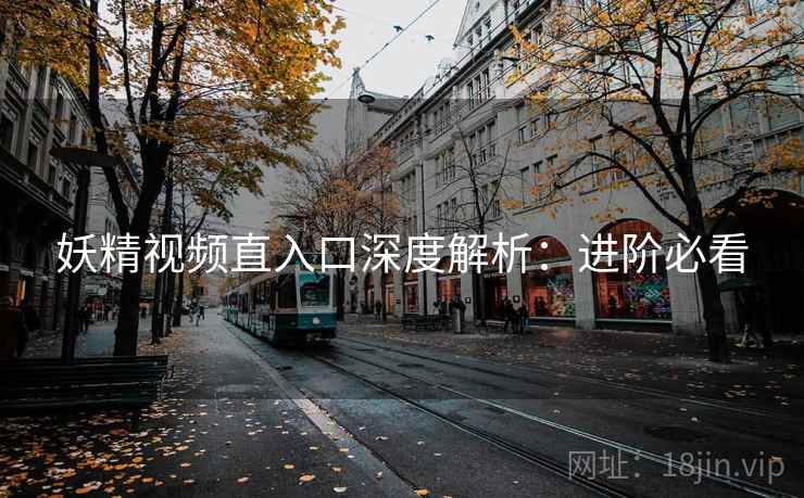 妖精视频直入口深度解析：进阶必看